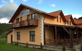 Pensiunea Rebeca Guest House